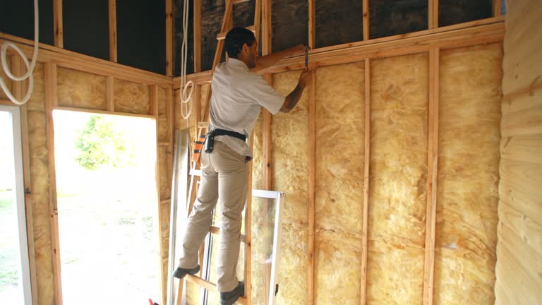 Professional Insulation in Monroe, WI